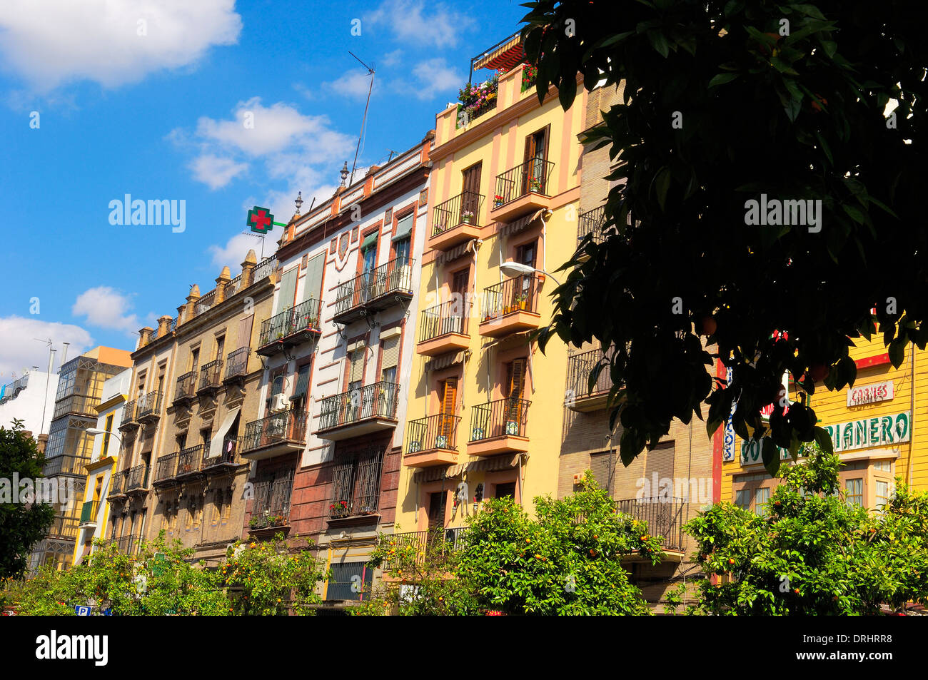 Typical balconys at Santa Cruz distric. Seville (Sevilla). Andalusia. Spain Stock Photo