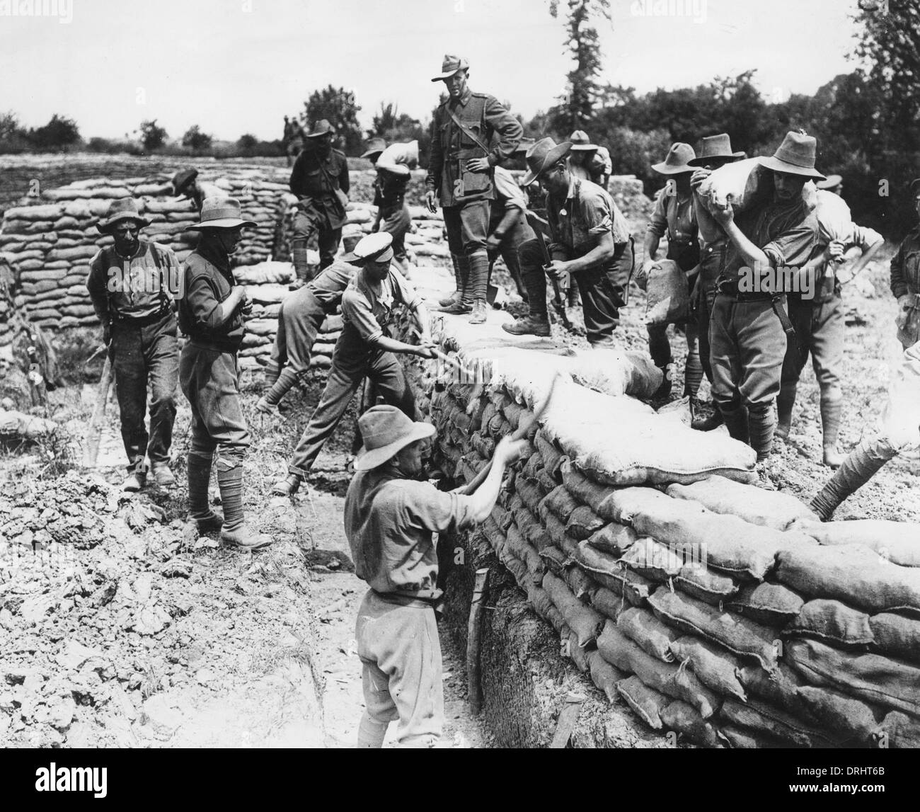 Australian troops building trenches, Fleurbaix, France, WW1 Stock Photo