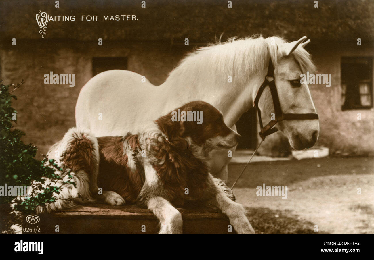 Waiting for master stock photo alamy