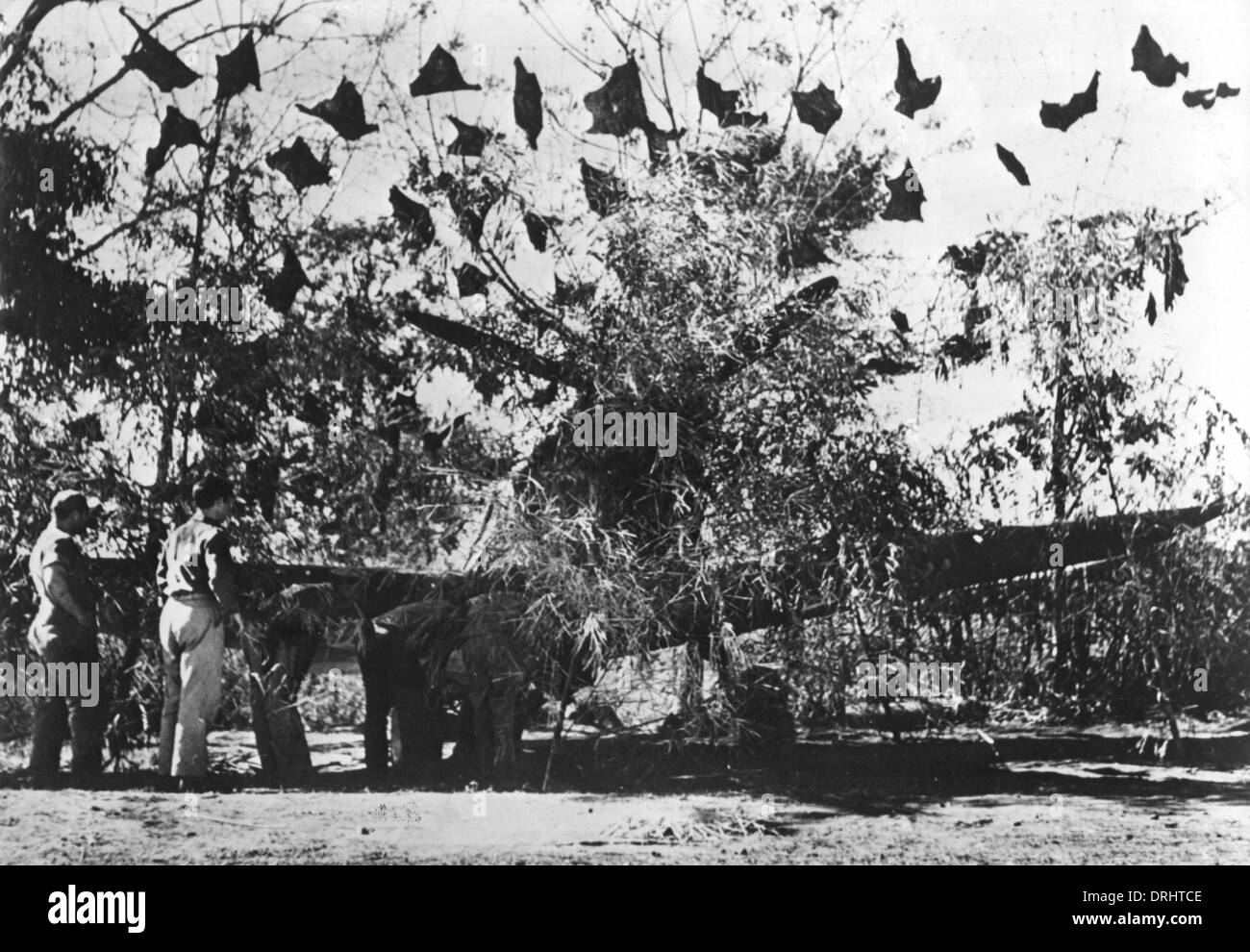 Ww2 fighter plane hi-res stock photography and images - Alamy