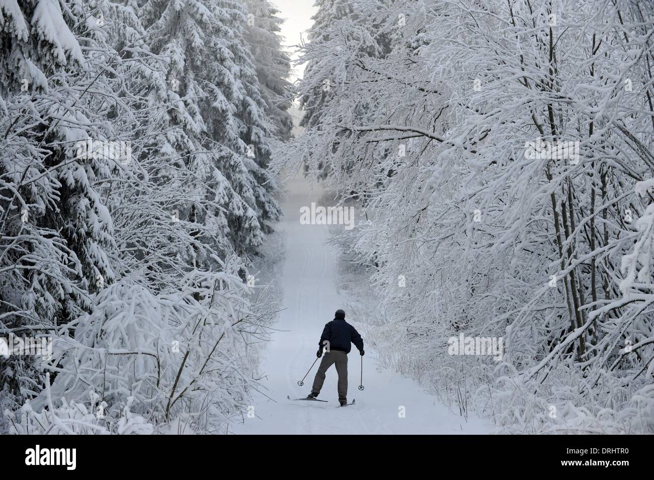 the Hoher Meissner mountain, Germany. 27th Jan, 2014. A cross country skier enjoys himself as he slides along a snow white path through the trees on the Hoher Meissner mountain, Germany, 27 January 2014. More snow and sub-zero temperatures are forecast for the region according to weather reports. Photo: UWE ZUCCHI/dpa/Alamy Live News Stock Photo