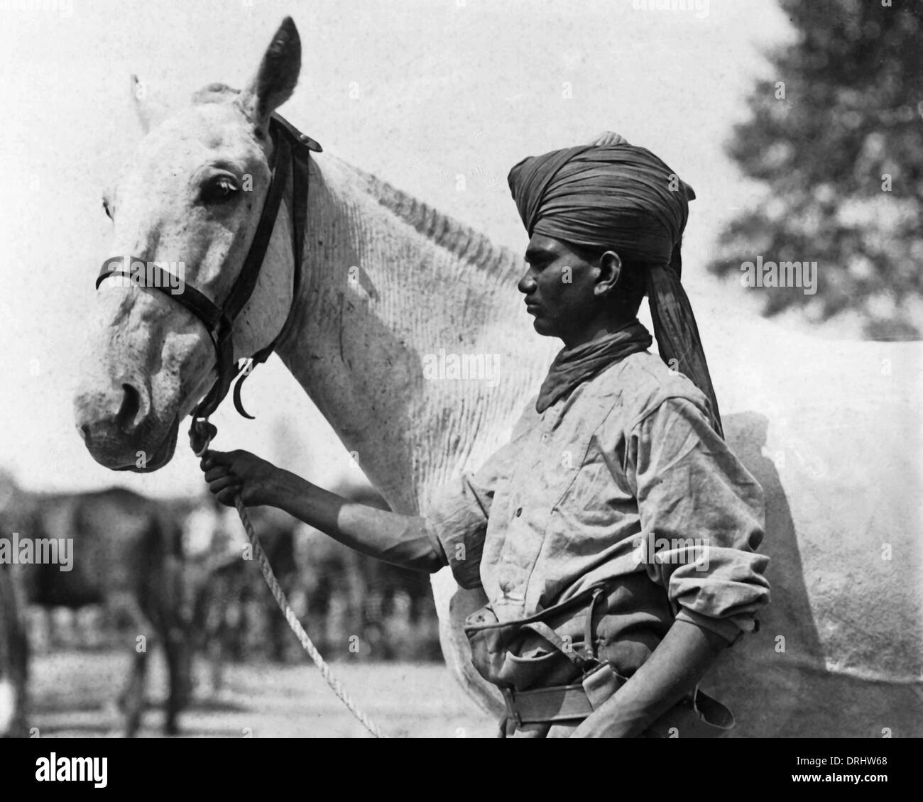 Indian soldier with horse, Western Front, WW1 Stock Photo