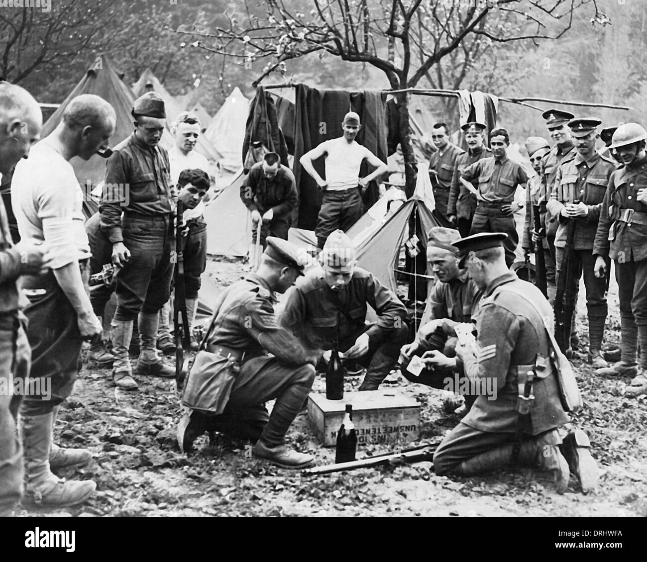 British and American troops playing cards, WW1 Stock Photo Alamy