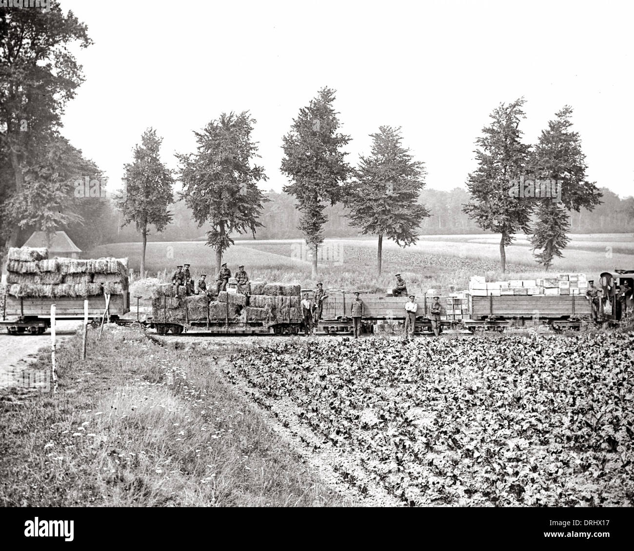 Field railway first world war hi-res stock photography and images - Alamy