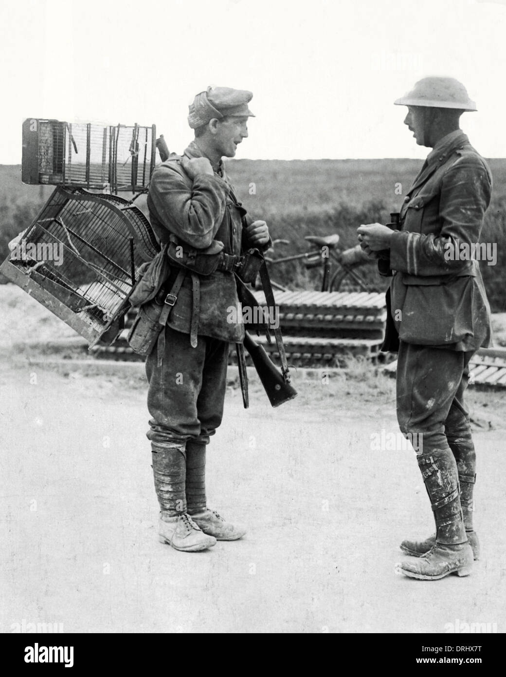 First world war soldier british rifle hi-res stock photography and ...