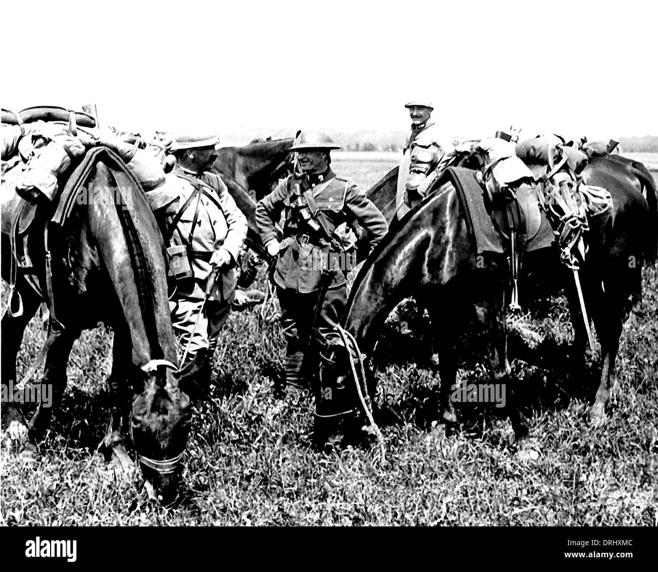 British and French troops grazing horses, WW1 Stock Photo Alamy