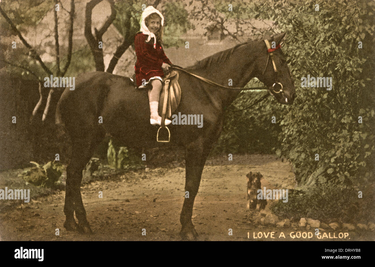 Little girl astride a large horse Stock Photo