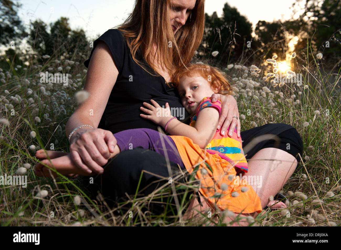 Toddler sitting on her pregnant mother's lap in a field during sunset. Stock Photo