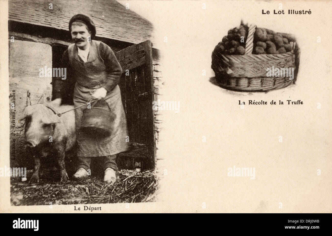 A Crack Trufflehunting team setting out, France Stock Photo Alamy