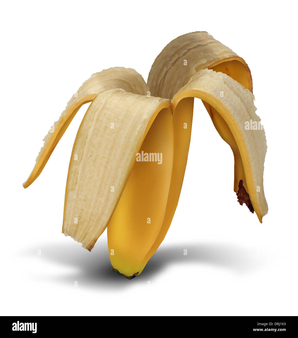 Bankrupt symbol as a business symbol of debt and overspending financial crisis as an empty banana peel as a metaphor for loss and financial streess on a white background. Stock Photo