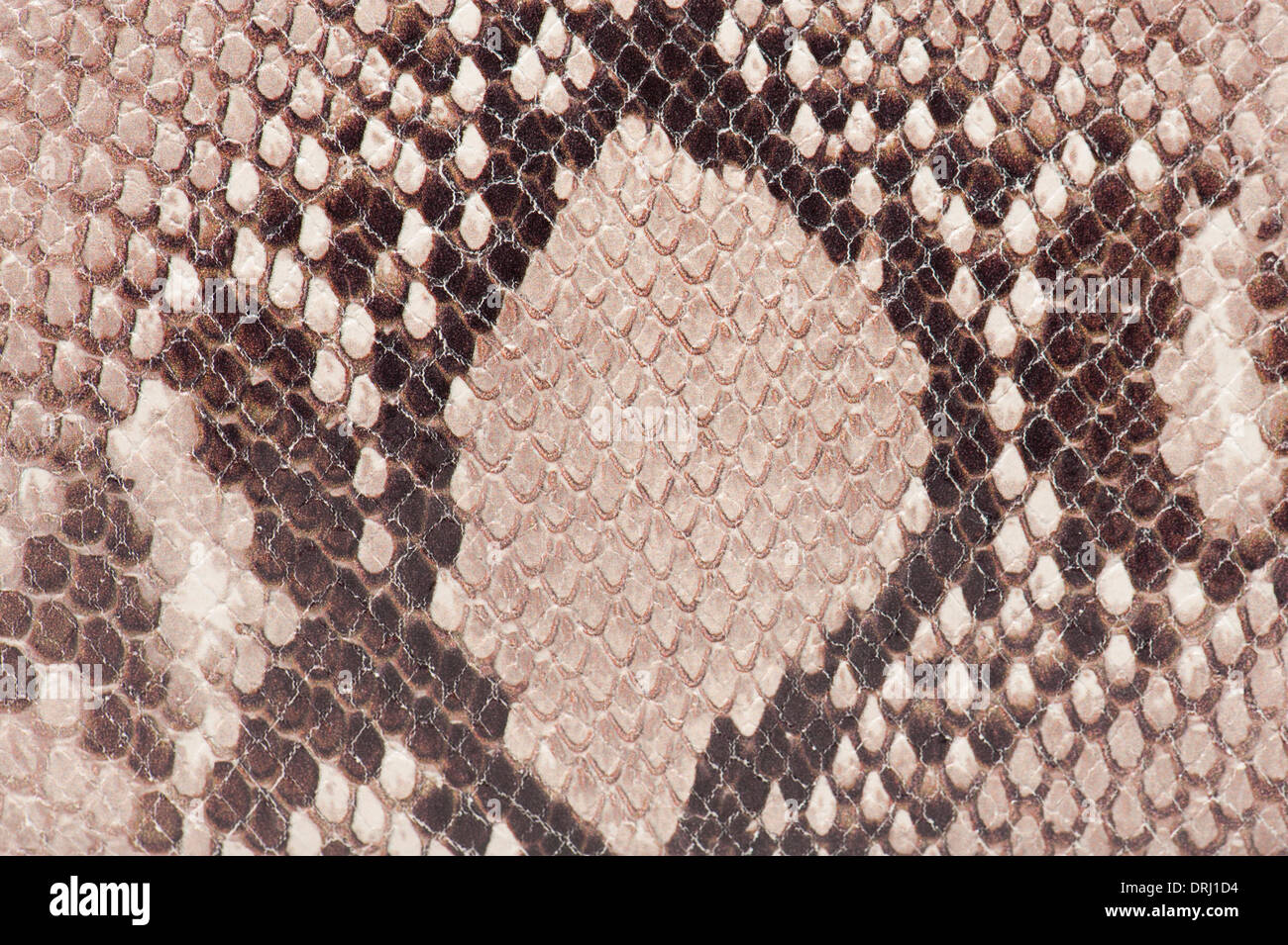 macro detail of snake brown leather Stock Photo