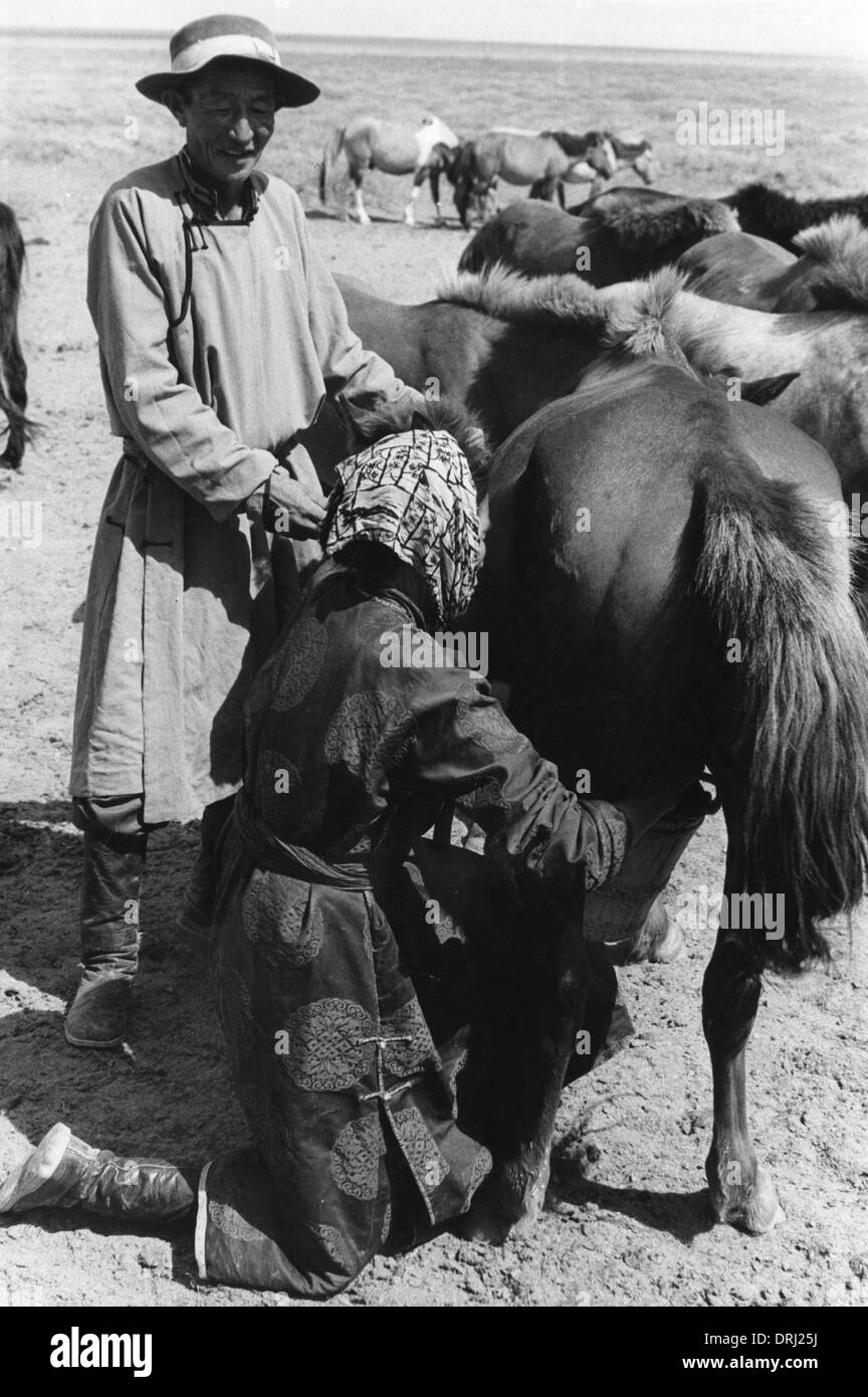 Mongol herdsman, Gobi desert, Mongolia Stock Photo
