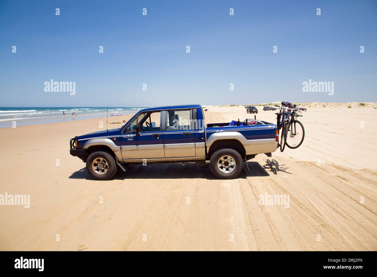4 x 4 vehicles can be driven onto Stockton beach sand dures, worimi conservation lands, nelson bay,port stephens,Australia Stock Photo