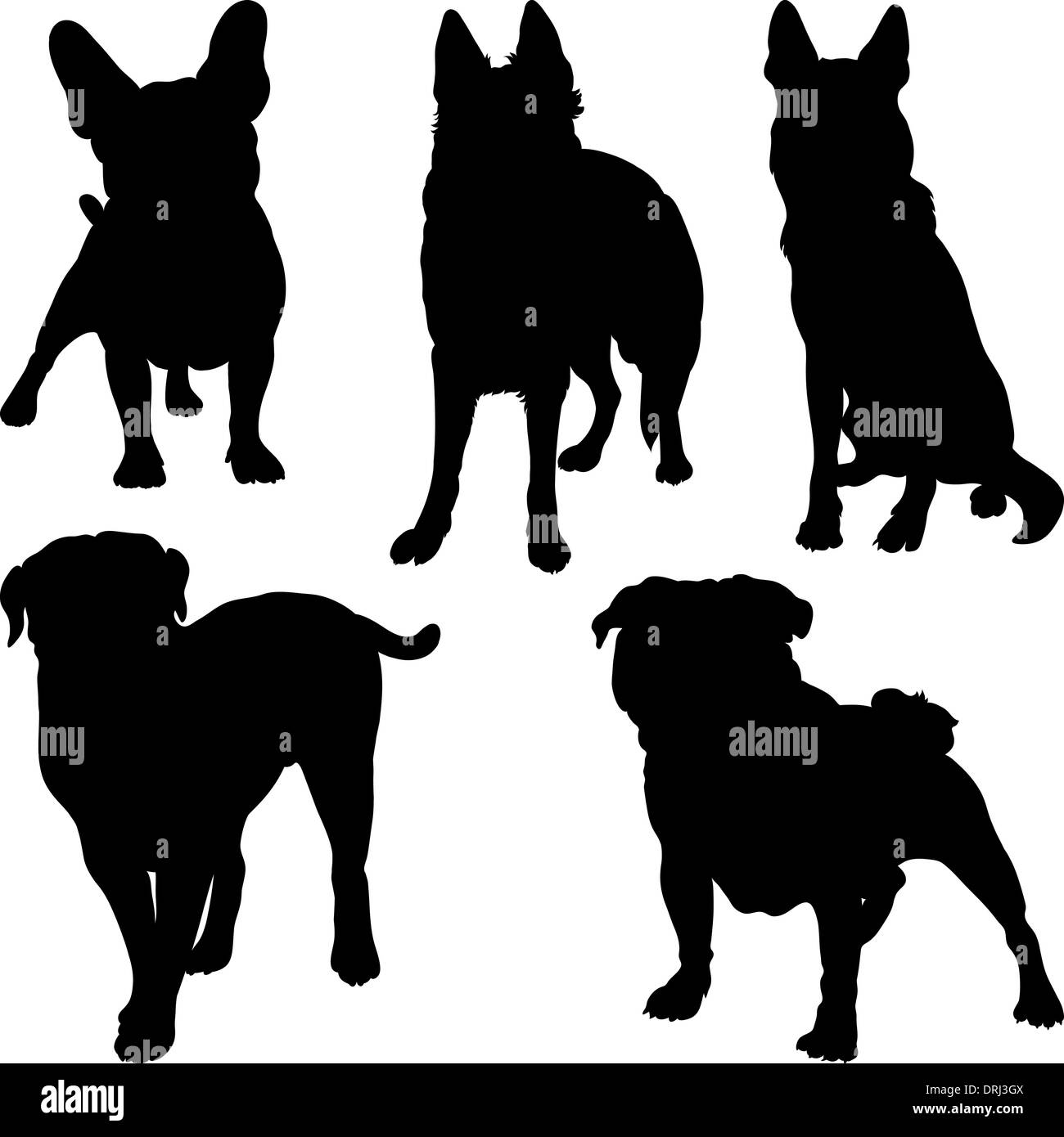 set of silhouettes of pug, French bulldog, Shepherd, bullmastiff breeds of dogs in various poses Stock Photo