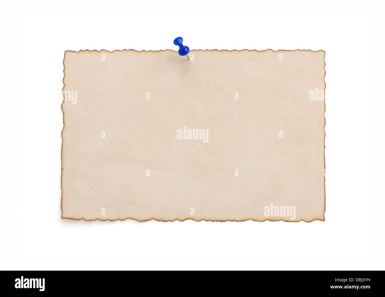paper vintage parchment isolated on white background Stock Photo - Alamy