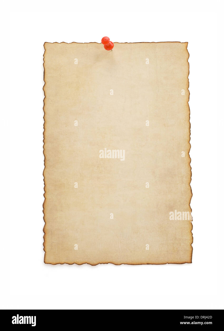 paper vintage parchment isolated on white background Stock Photo - Alamy