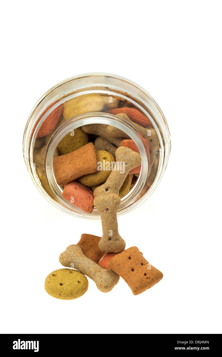 Crunchy dog biscuits falling out of a jar - studio shot Stock Photo