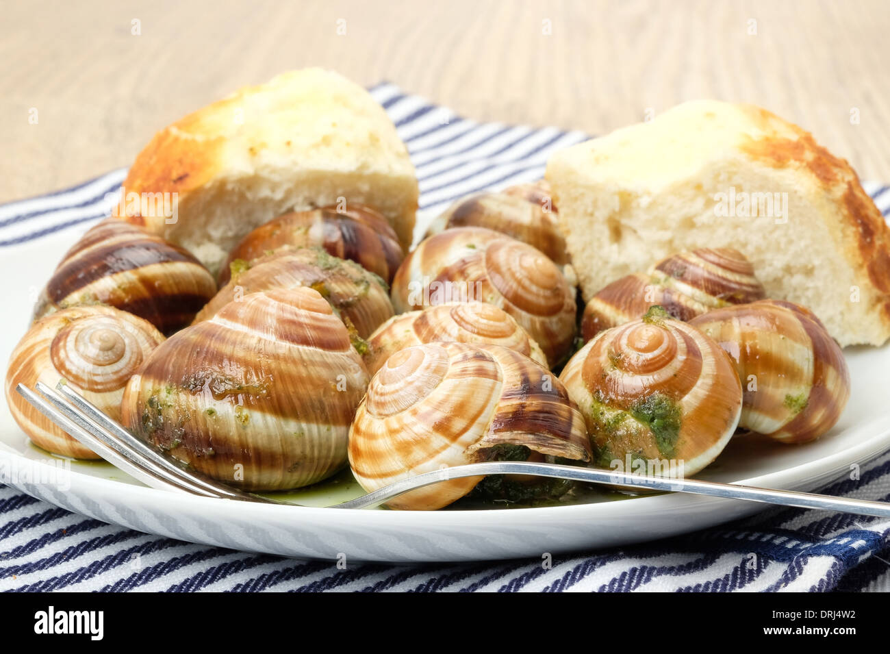 Traditional Escargot - French snails with a tasty garlic and herb sauce Stock Photo