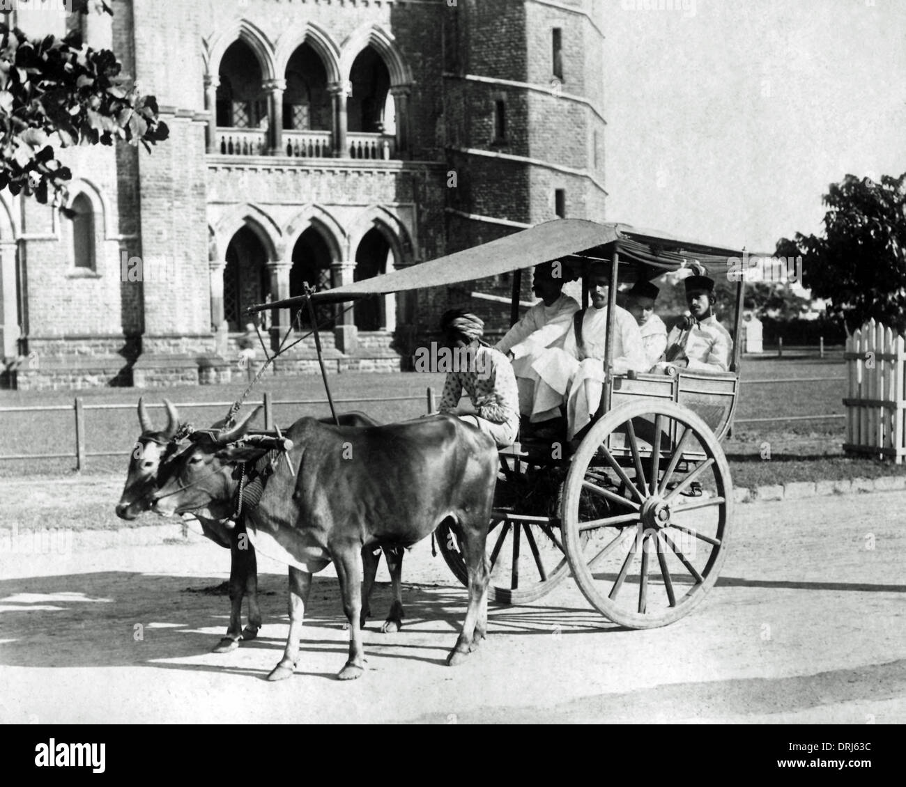 Bullock cart india hires stock photography and images Alamy