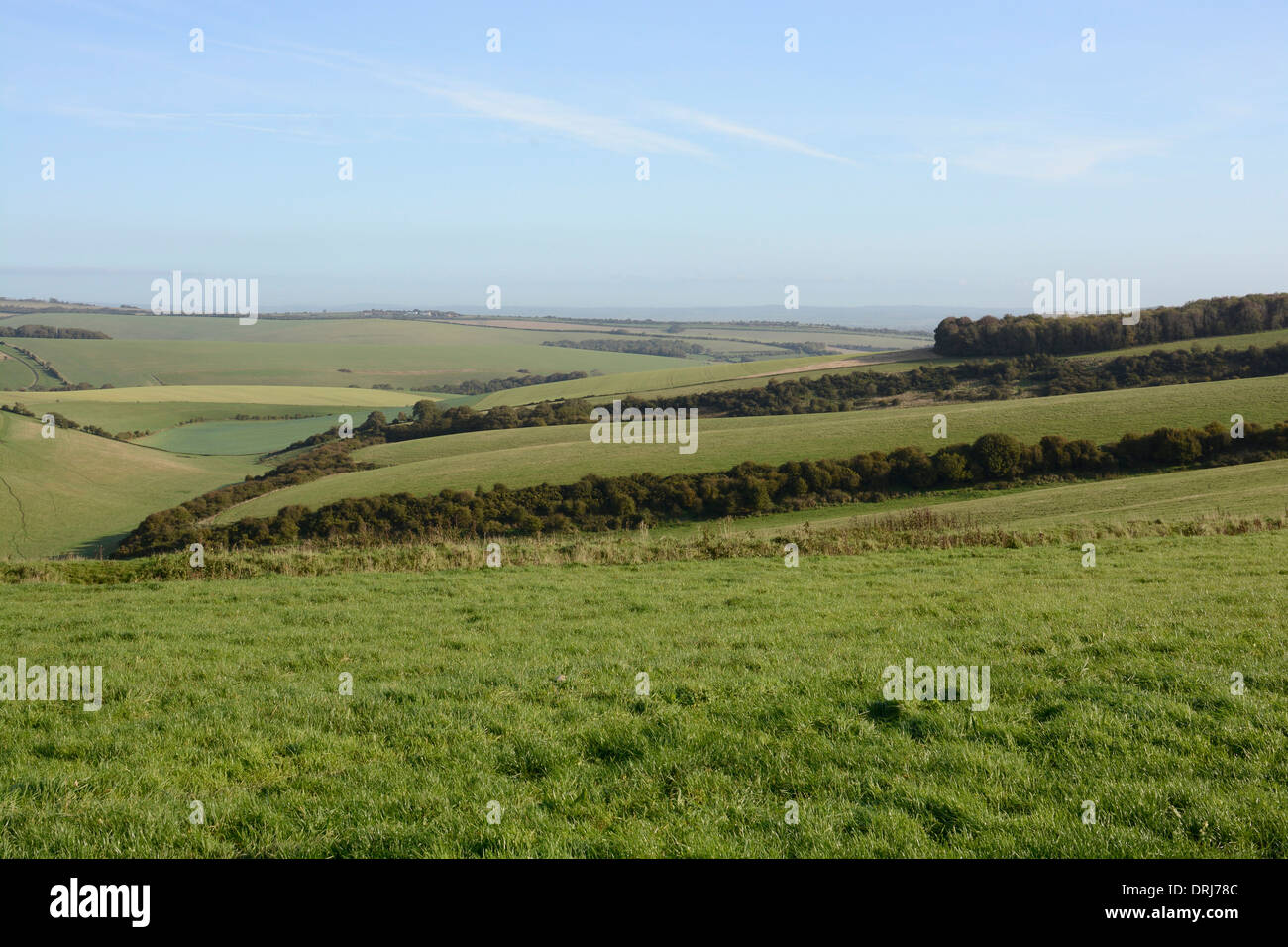 Fields and countryside on South Downs at Falmer near Brighton. East