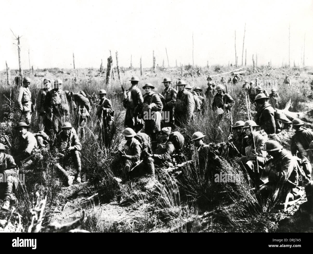 American troops resting, Argonne Forest, France, WW1 Stock Photo