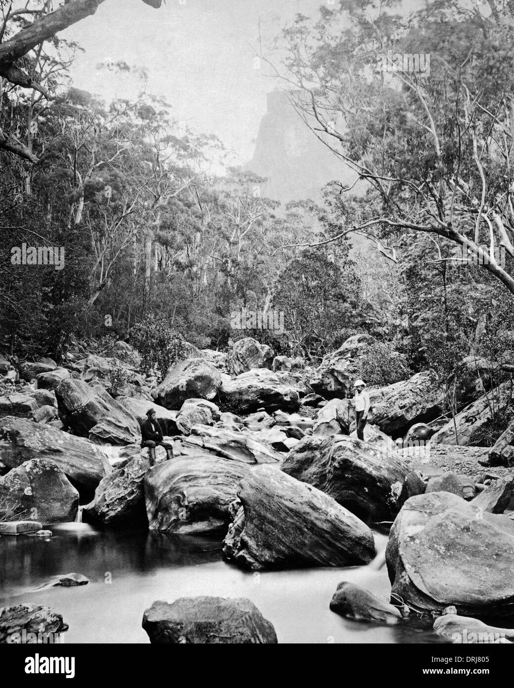 Grose Valley, New South Wales, Australia Stock Photo