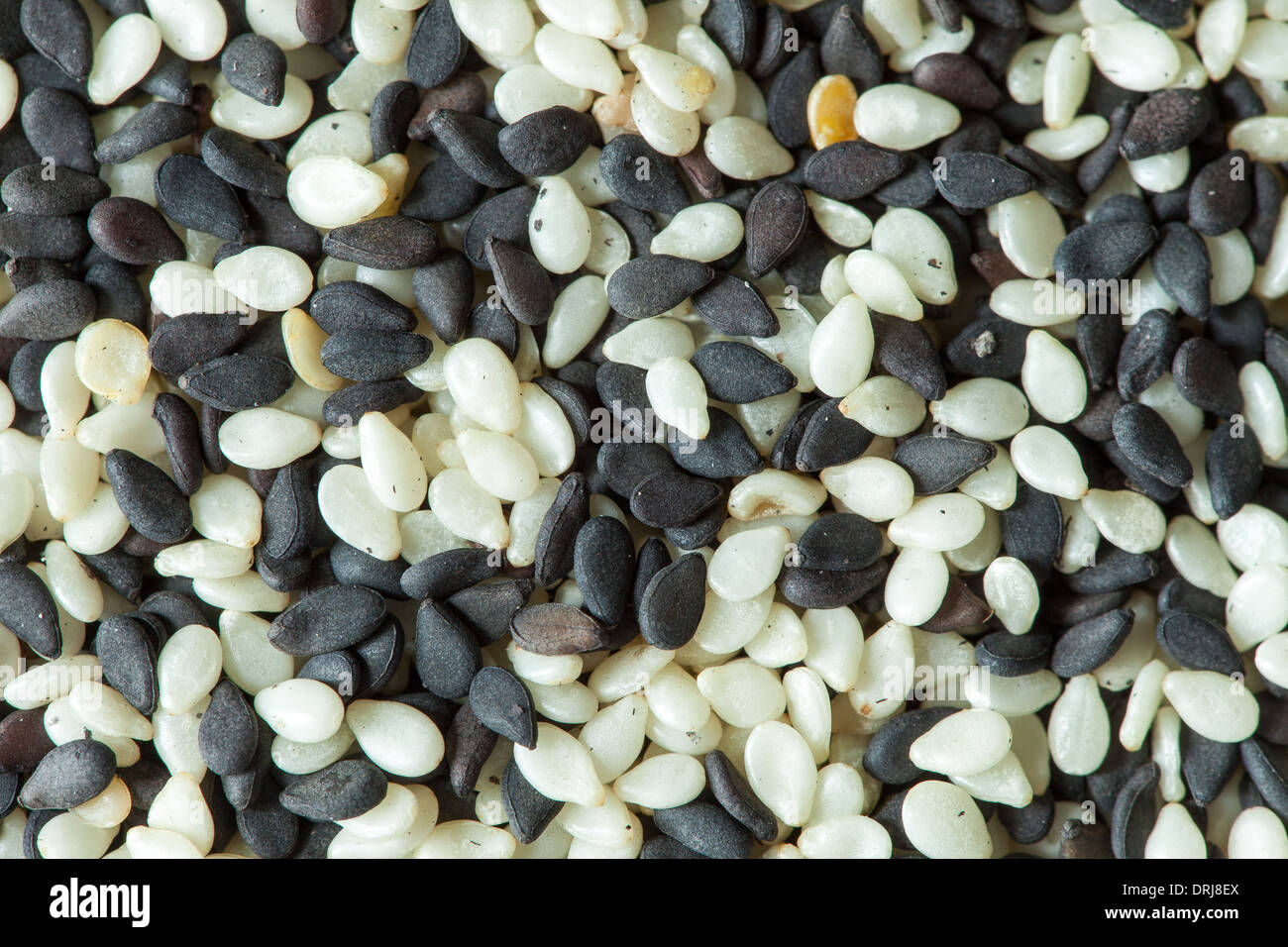 Sesame seed pods and plant hires stock photography and images Alamy