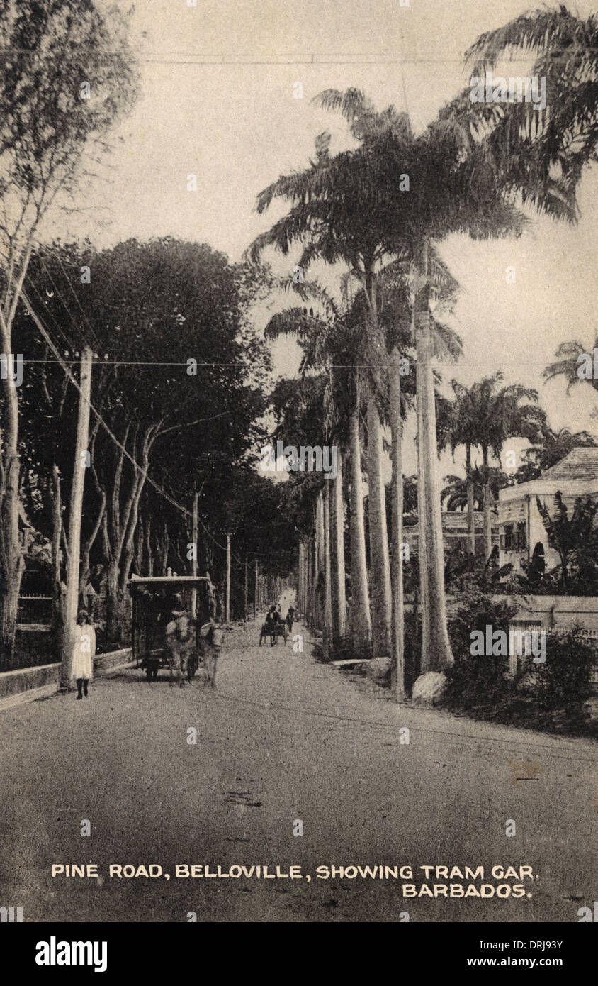 Horse Tram on Pine Road, Belloville, Barbados Stock Photo