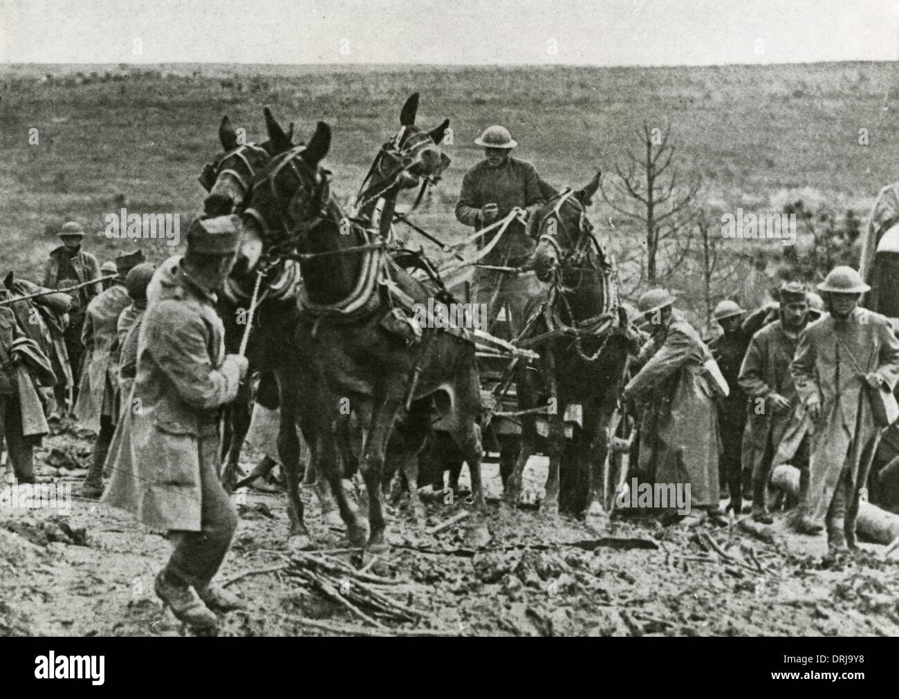 American troops at St Mihiel, France, WW1 Stock Photo Alamy