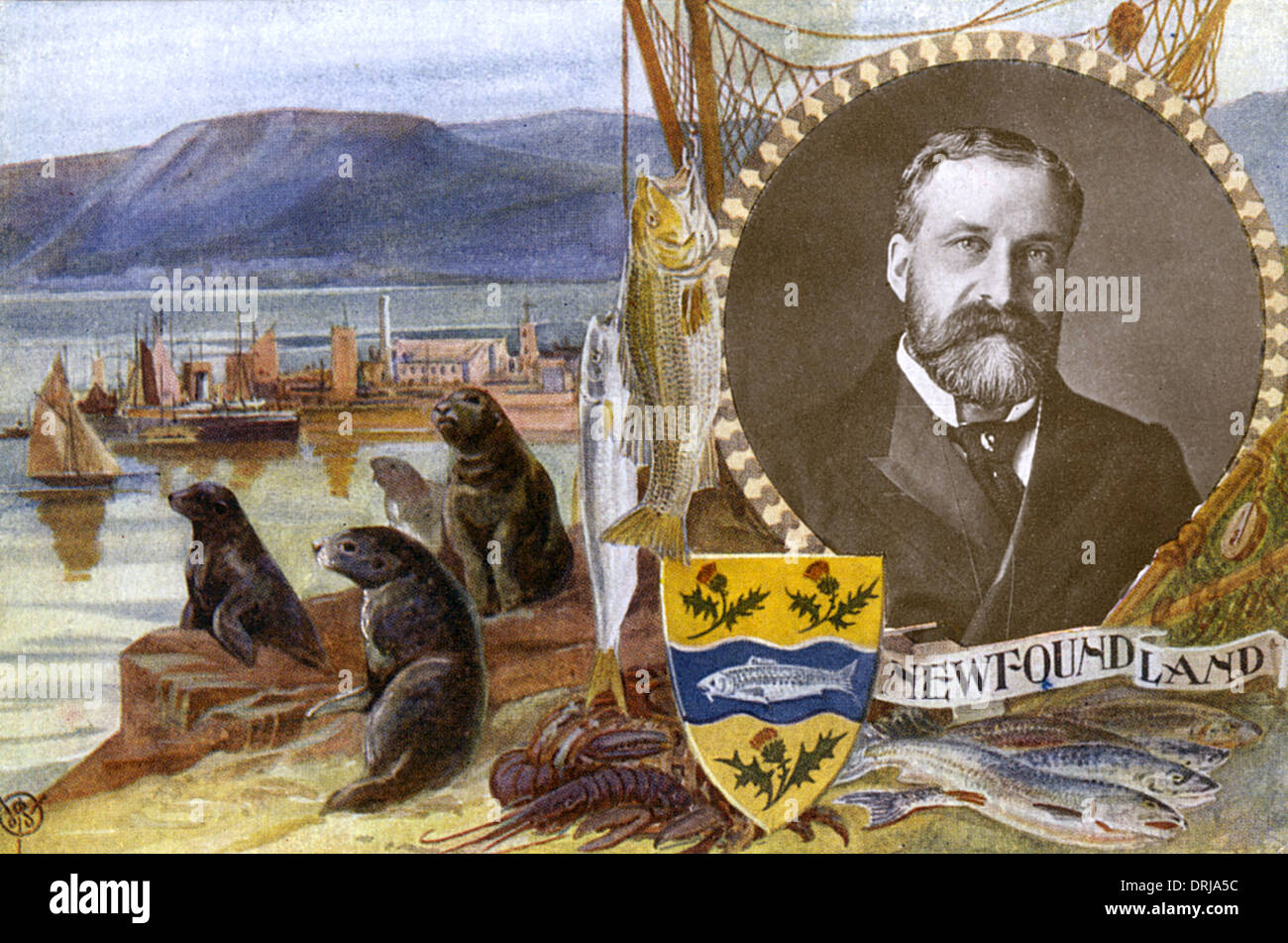 Newfoundland coat of arms hires stock photography and images Alamy