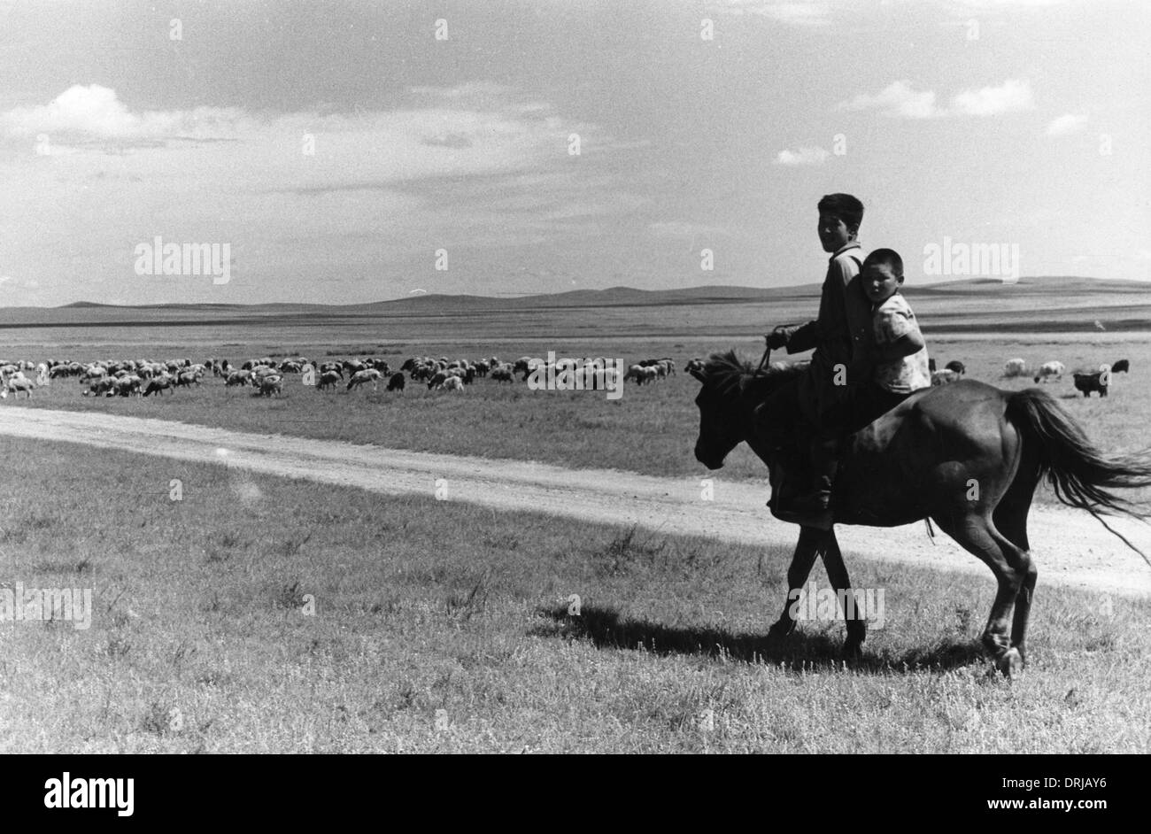 Young herdsmen on the Mongol steppe, Mongolia Stock Photo - Alamy