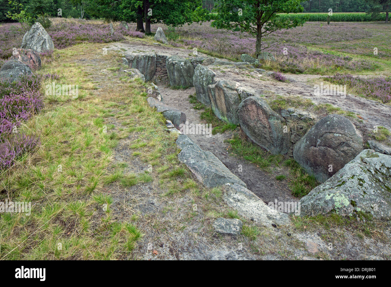 Passage grave at Oldendorfer Totenstatt, megalithic site in Oldendorf