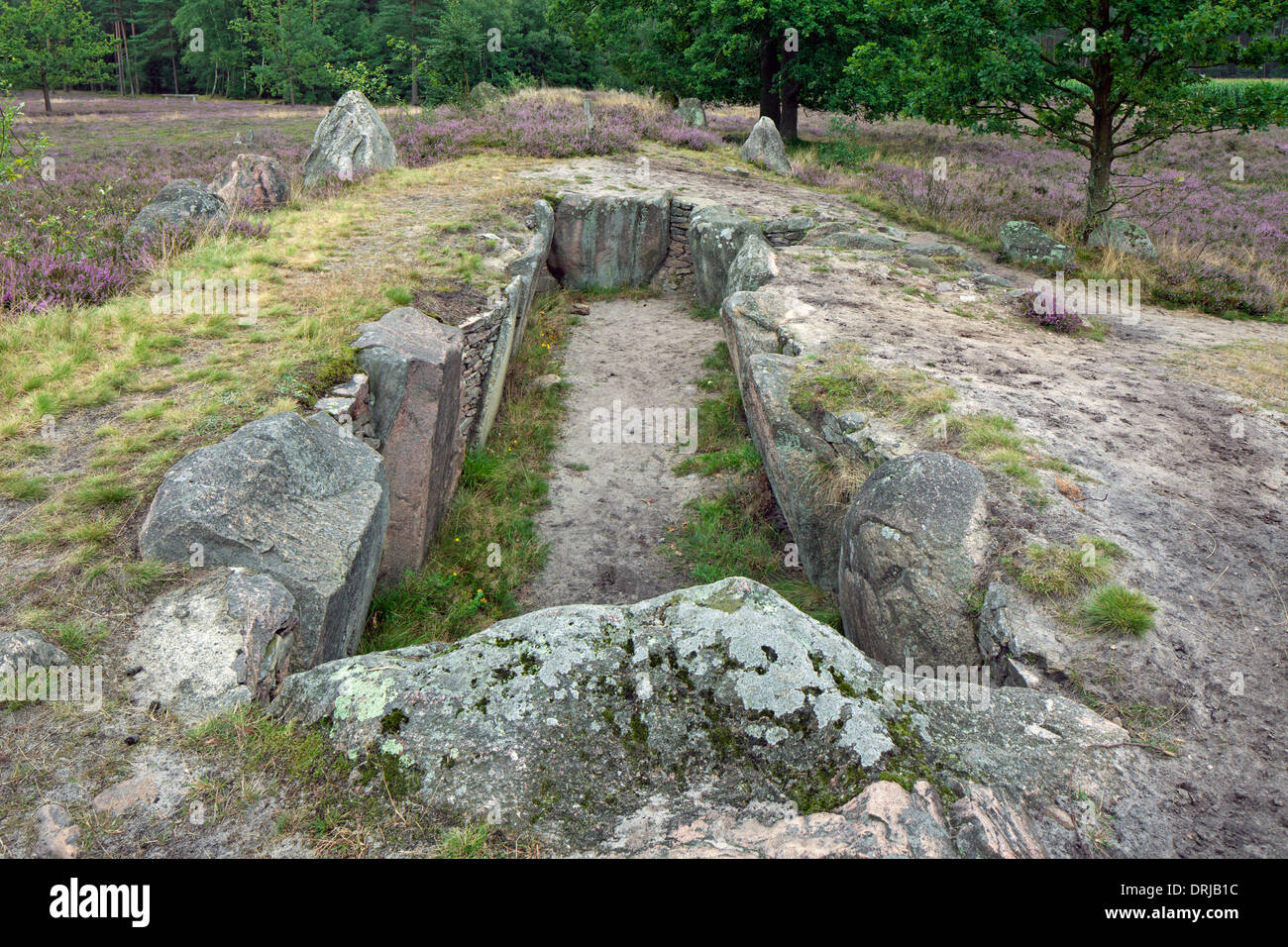Passage grave at Oldendorfer Totenstatt, megalithic site in Oldendorf near Amelinghausen, Lueneburg Heath, Lower Saxony, Germany Stock Photo
