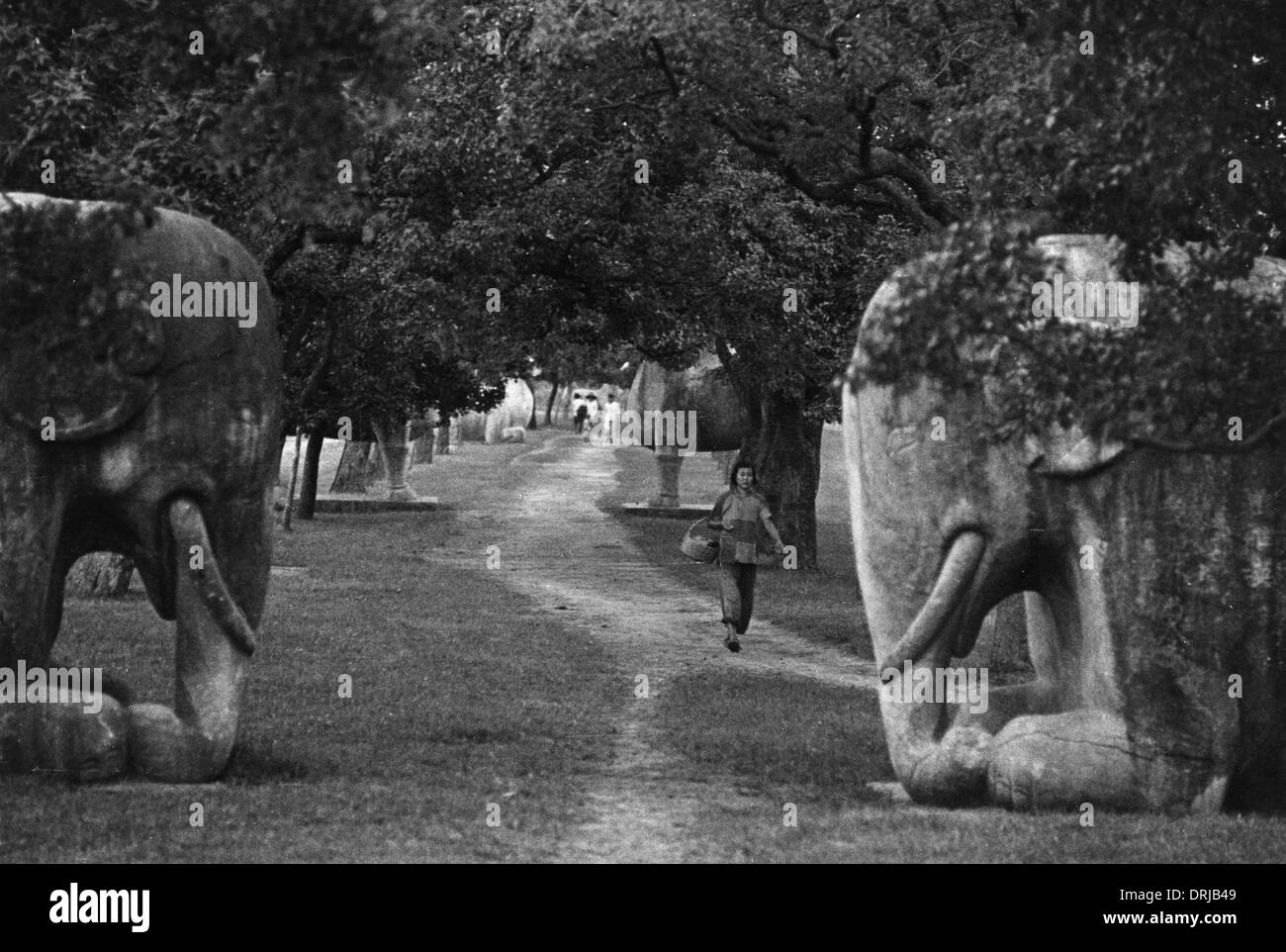 Avenue of Ming stone animals, Nanking, China Stock Photo