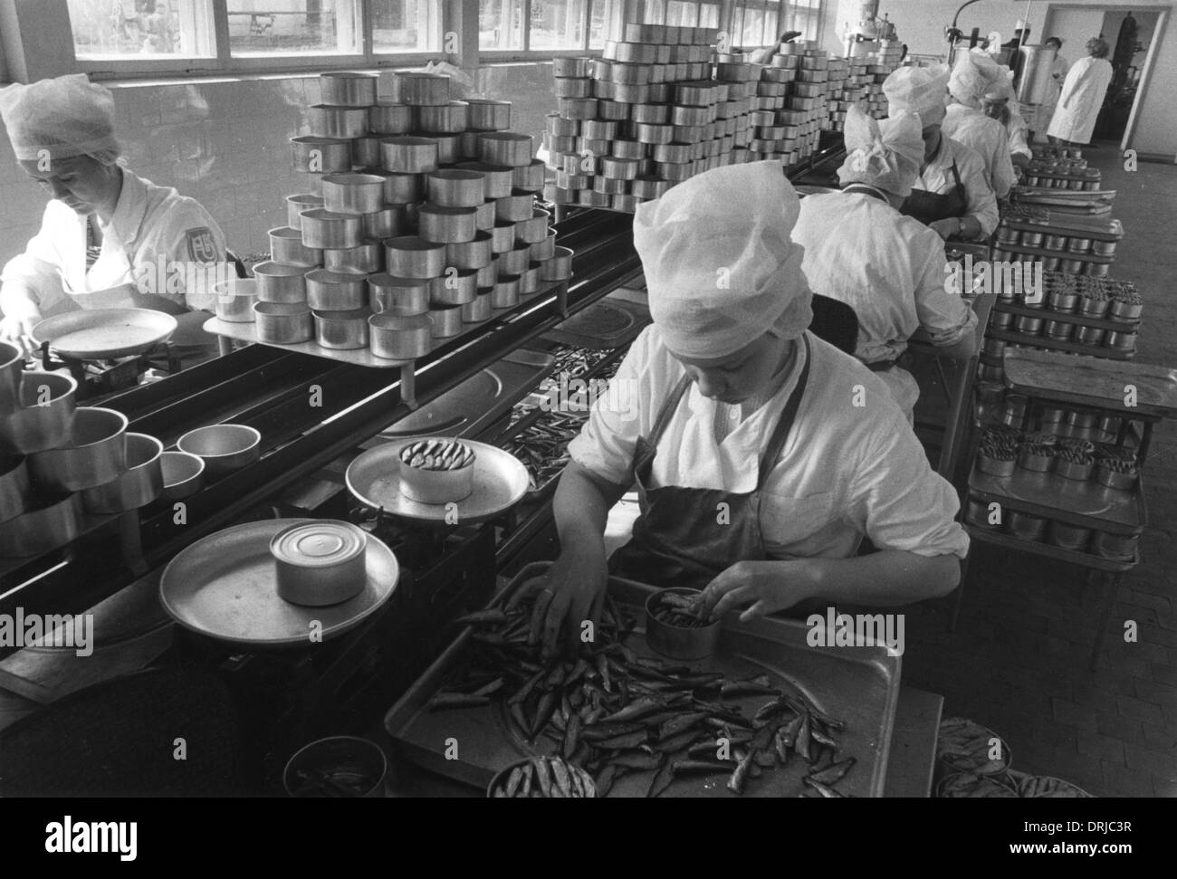 Canning industry hires stock photography and images Alamy