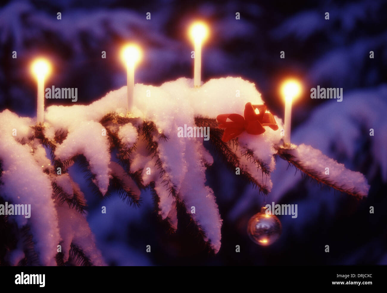 Christmastree branch with candles.Sweden Stock Photo Alamy