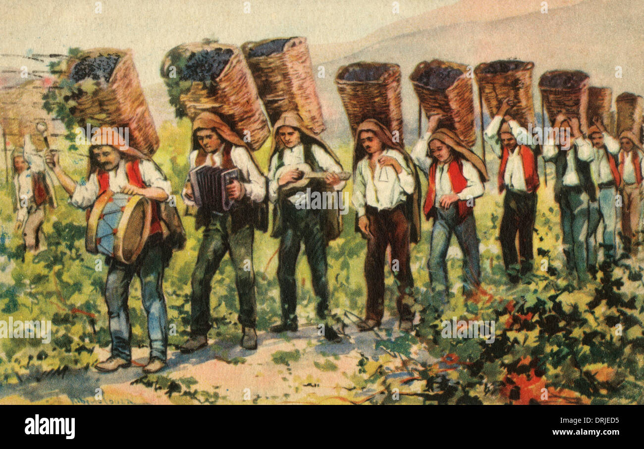 Carrying grapes - Portugal Stock Photo