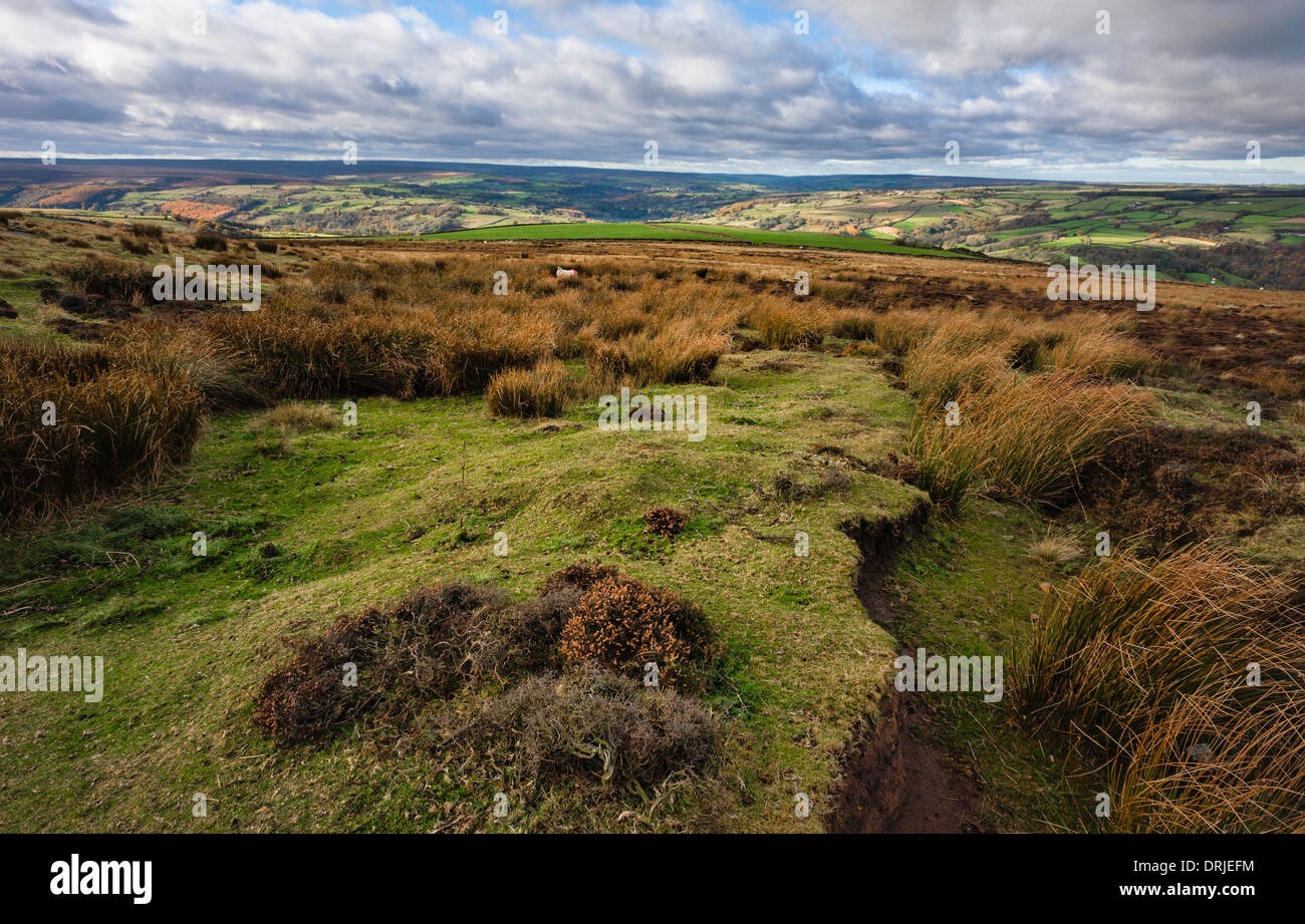 The North York Moors National Park on a windswept afternoon near Grosmont village, Yorkshire, UK