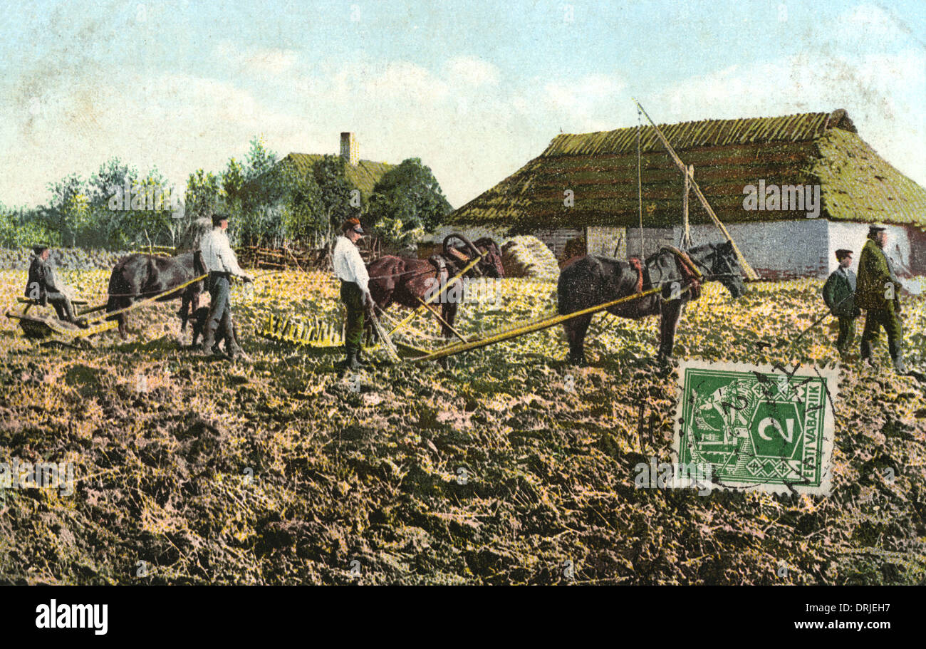 Estonia Agricultural Scene Stock Photo Alamy