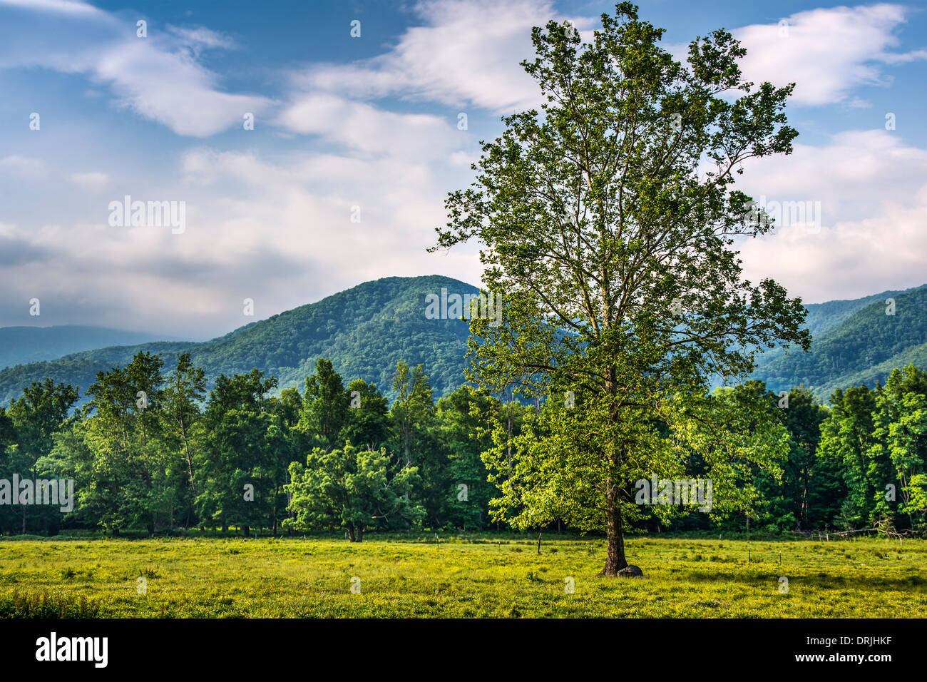Cades Cove in the Smoky Mountains National Park near Gatlinburg