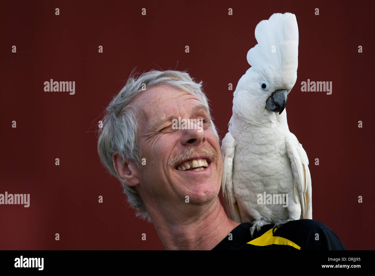 White parrot sitting on a man's shoulder Stock Photo Alamy