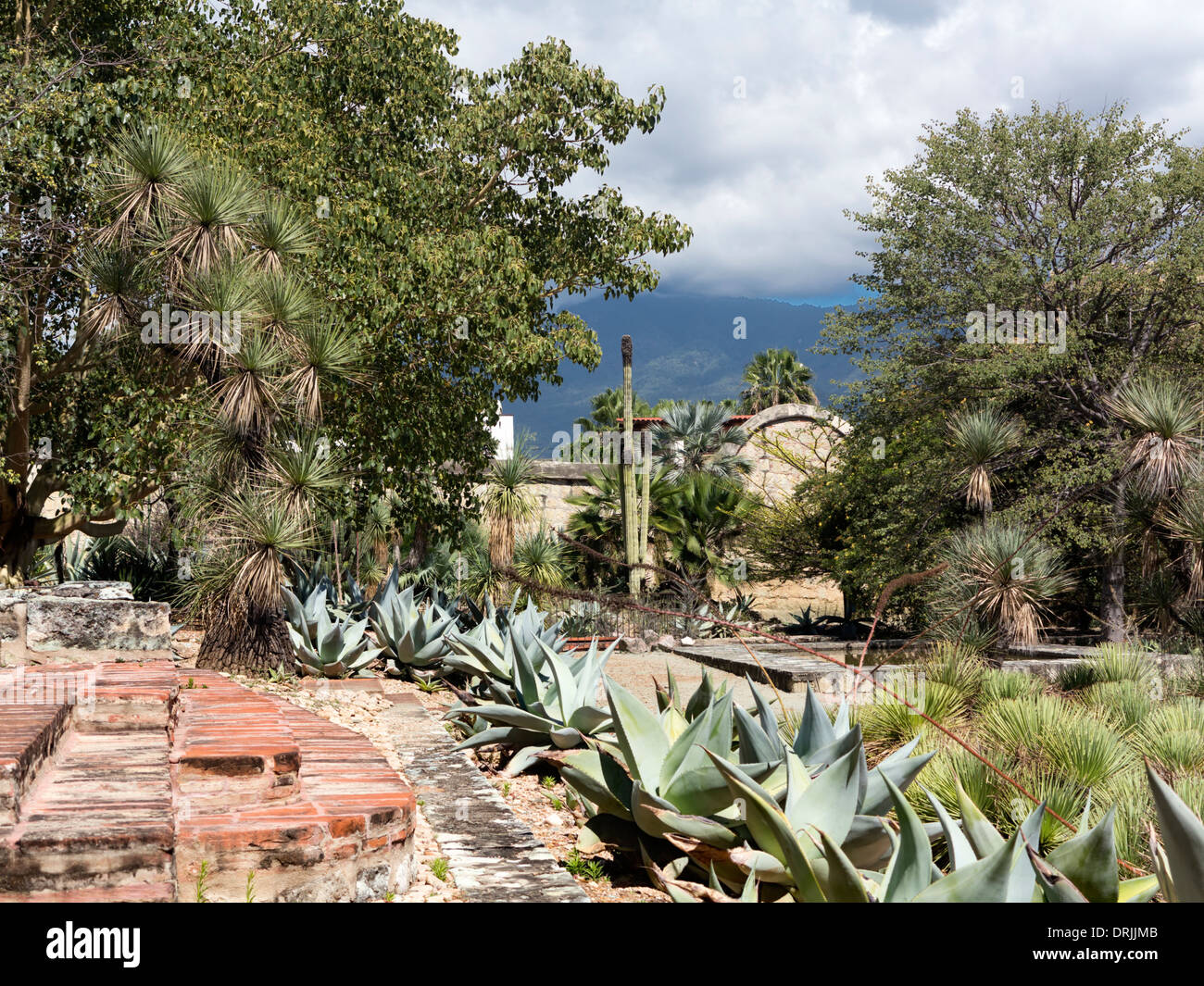 Botanical Garden, Oaxaca Stock Photo