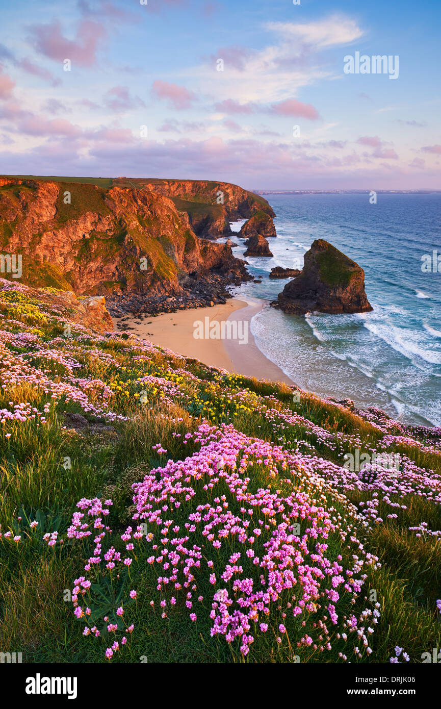 Clifftop views overlooking Bedruthan Steps during springtime Stock Photo