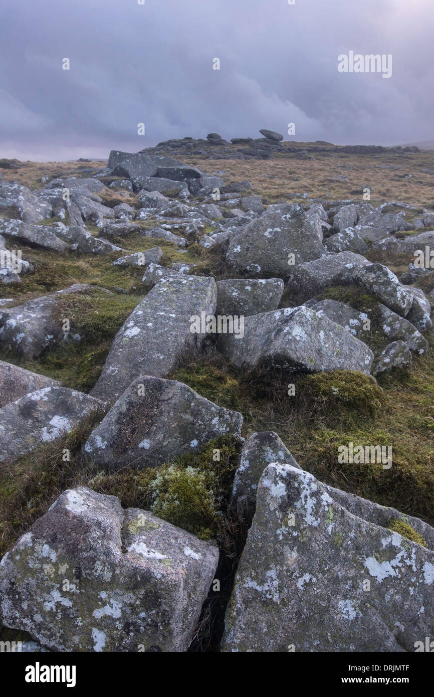 The rocky Tors on Belstone Common, Dartmoor, Belstone near Oakhampton