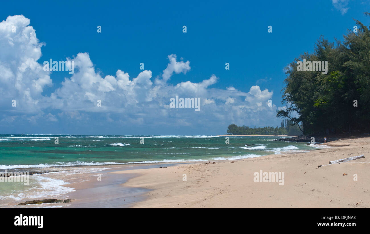 Tunnels Beach in Kauai Stock Photo Alamy