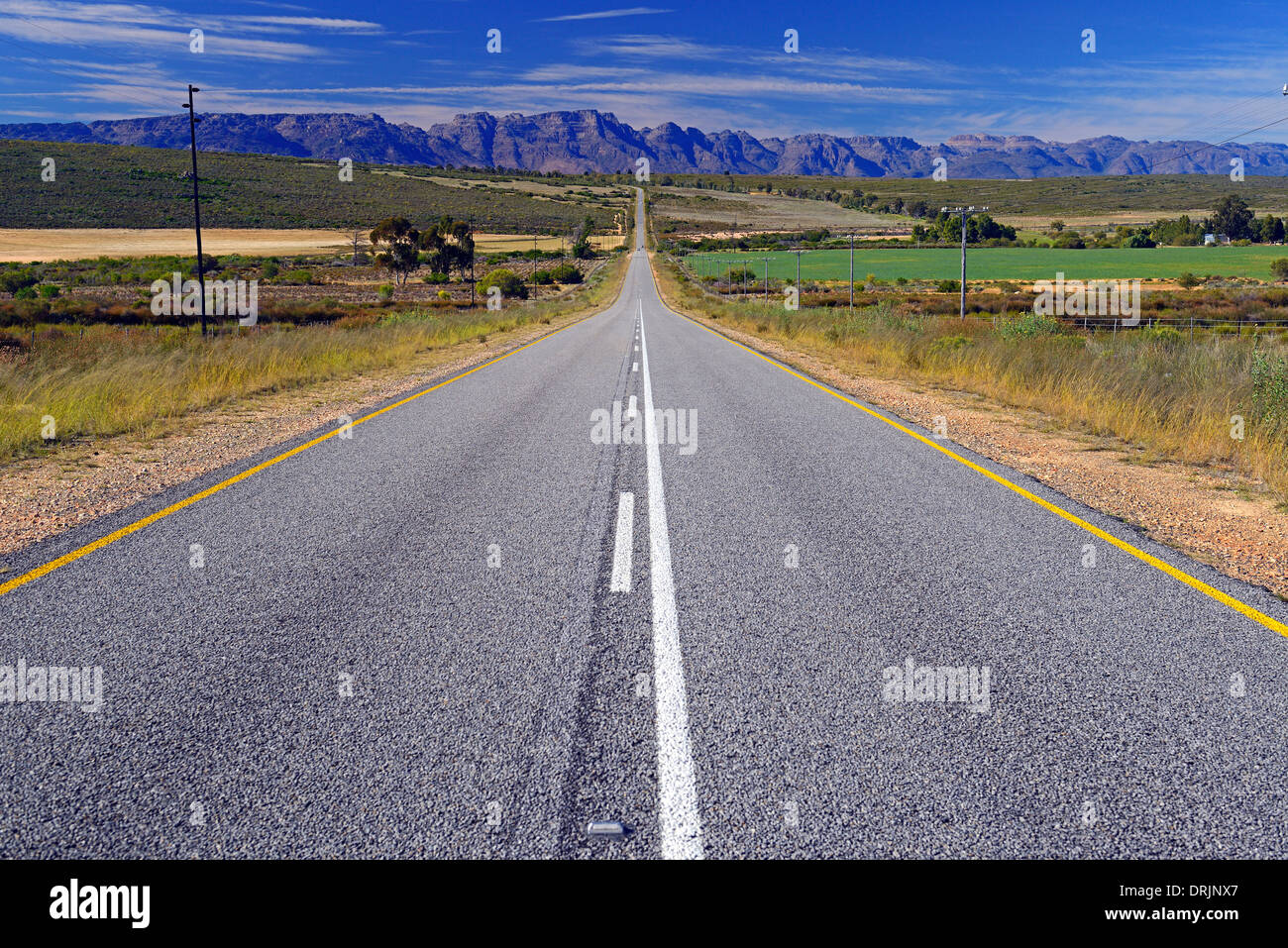 Street R364 between Lamberts Bay and Clanwilliam, in the background the Cederberge, west cape, western cape, South Africa, Afric Stock Photo