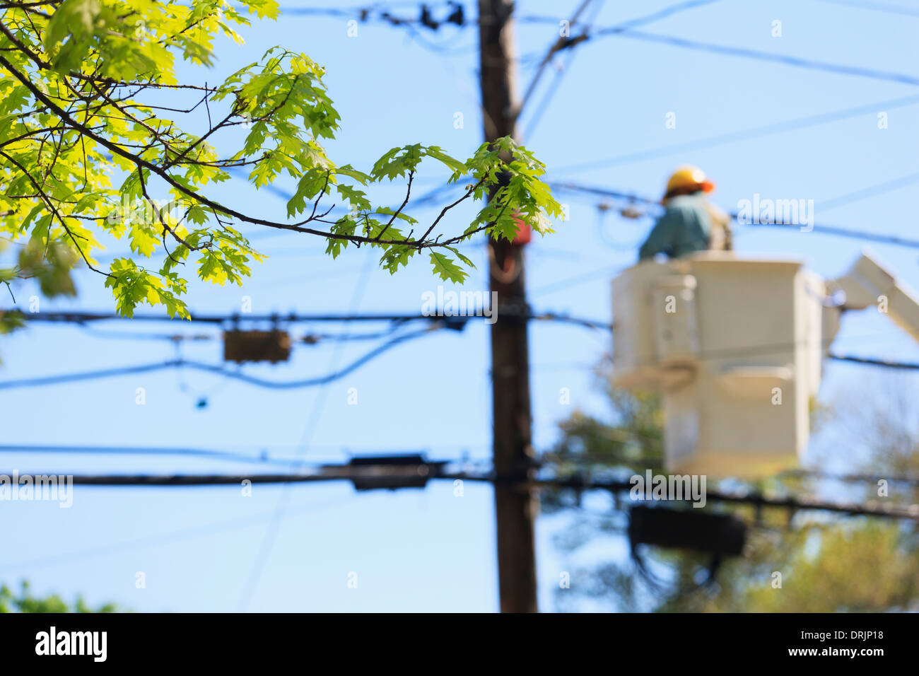 Power engineer in lift bucket working on power lines, Braintree