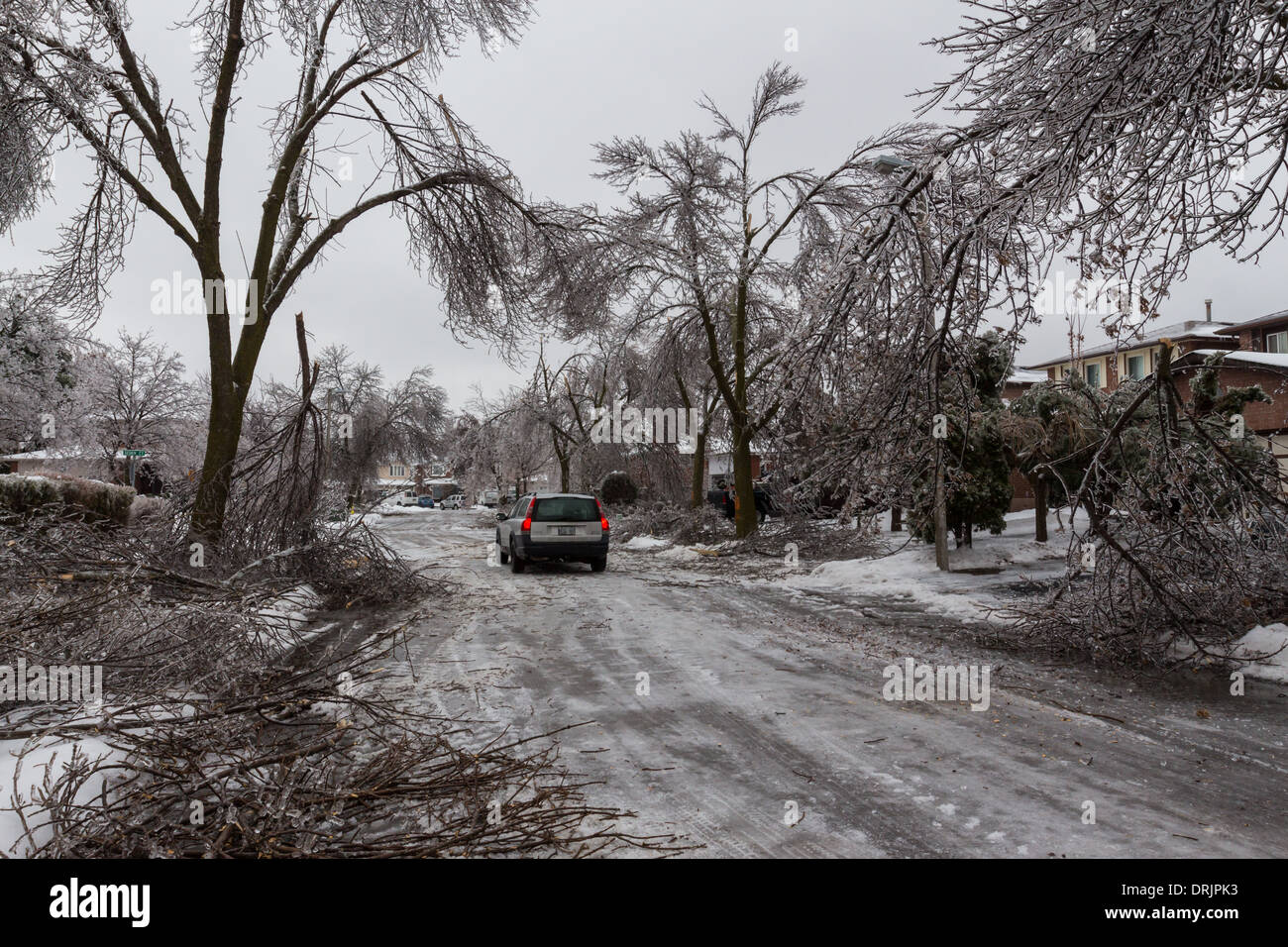 Over 35 millimeters of freezing rain destroys a tree lined street after an unprecedented ice storm strikes the Toronto area Stock Photo