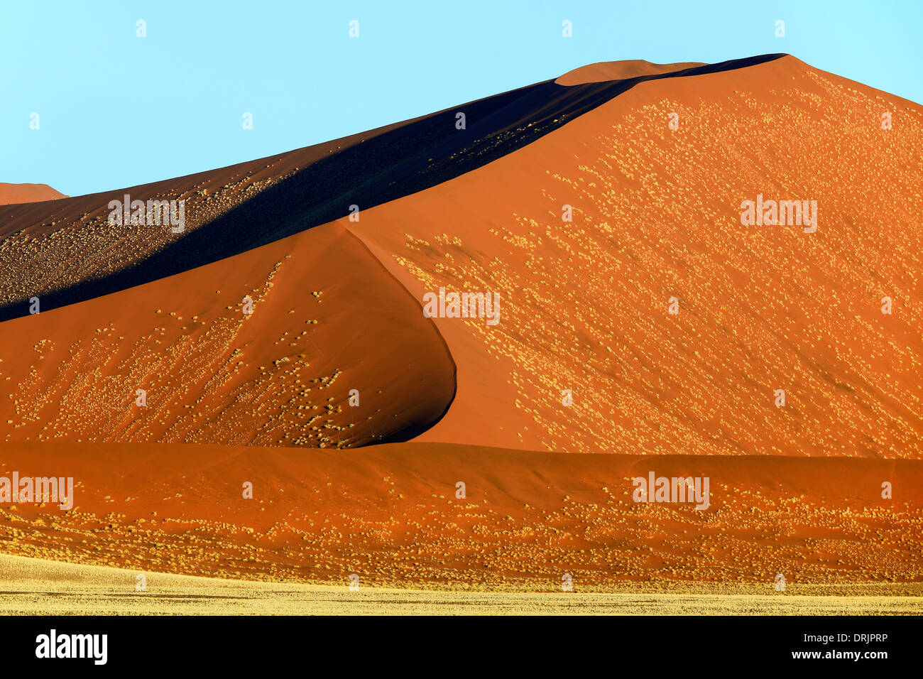 gigantic sandy dunes in the last evening light, Namib Naukluft national park, Sossusvlei, Namibia, Africa, riesige Sandduenen im Stock Photo