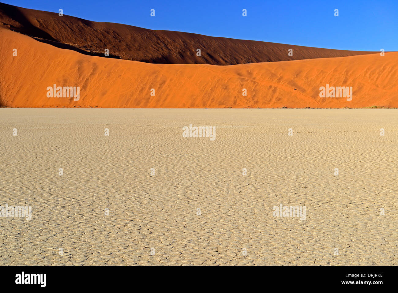 Width, dunes and mucky ground of the Deadvlei, Dead Vlei in the morning of the Namib Naukluft national park, Sossusvlei, Namibia Stock Photo
